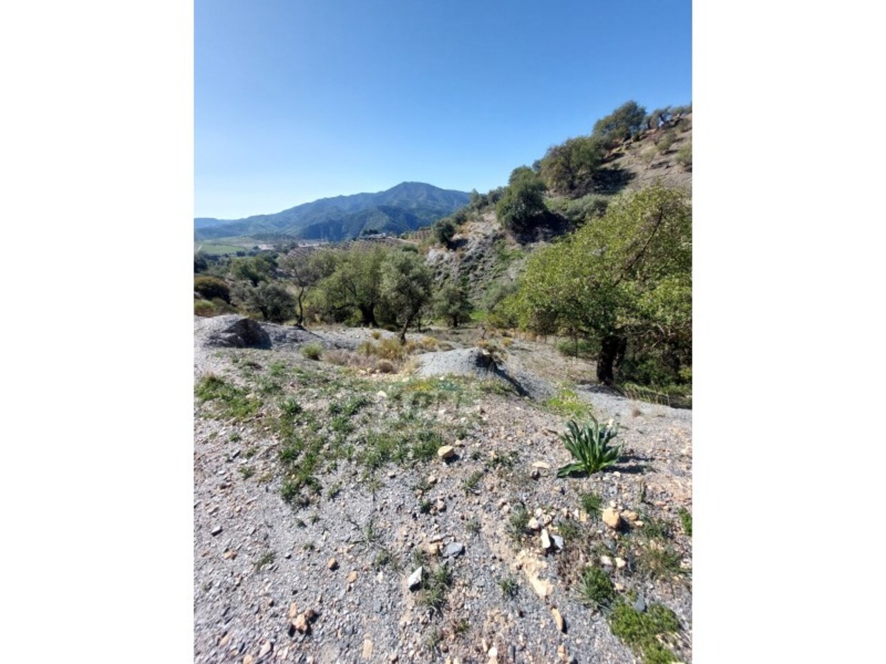 3 Bed, 1 Bath, HouseFor Sale, Álora, Malaga