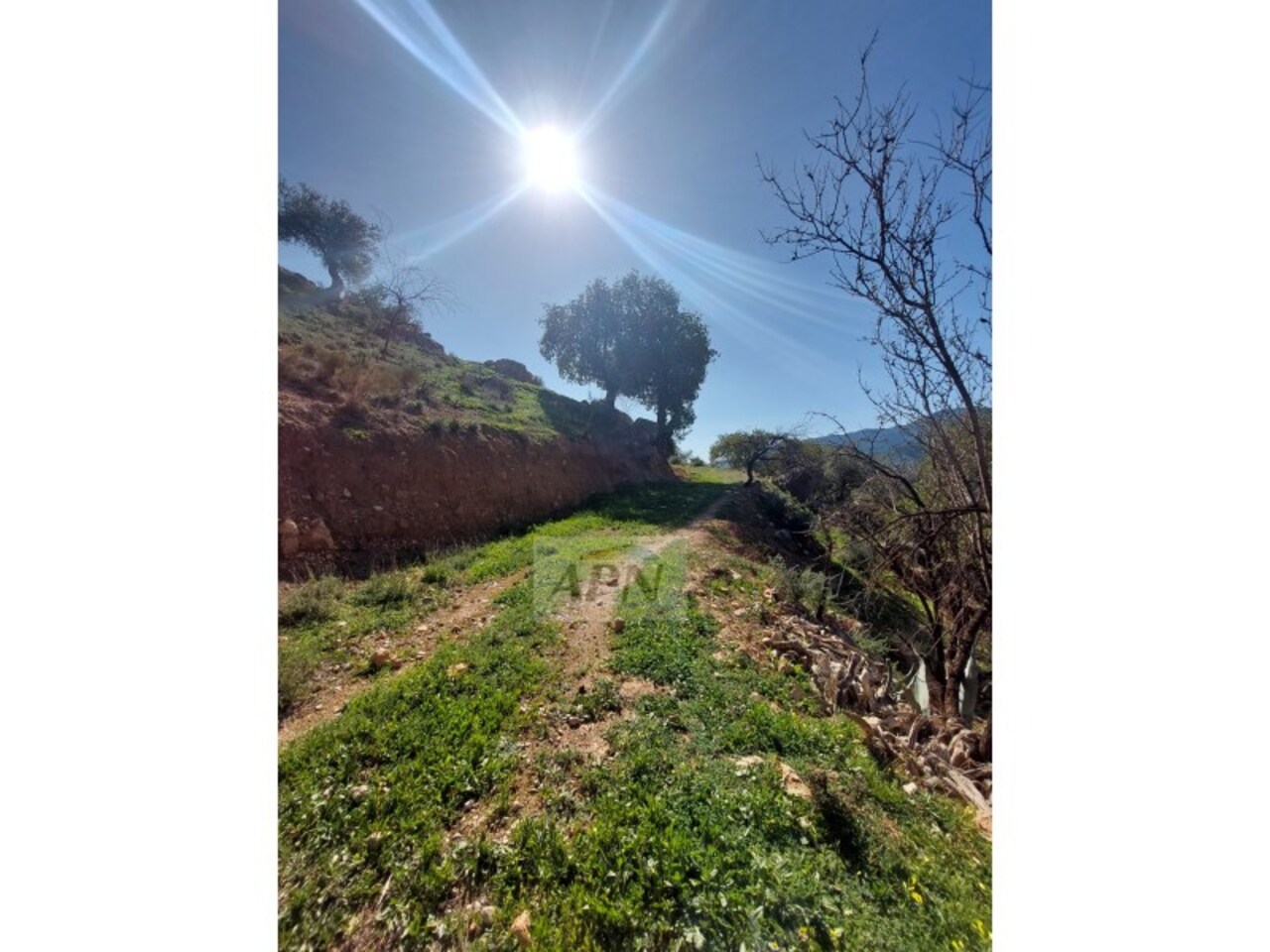 3 Bed, 1 Bath, HouseFor Sale, Álora, Malaga