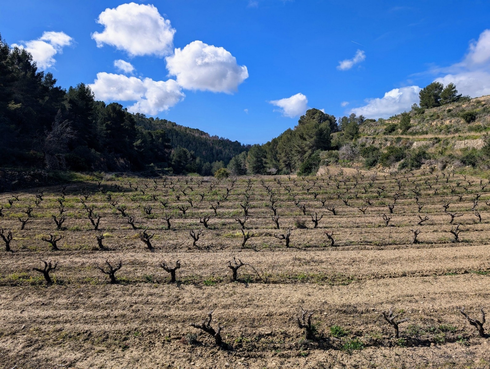 HouseFor Sale, Benissa, Alicante