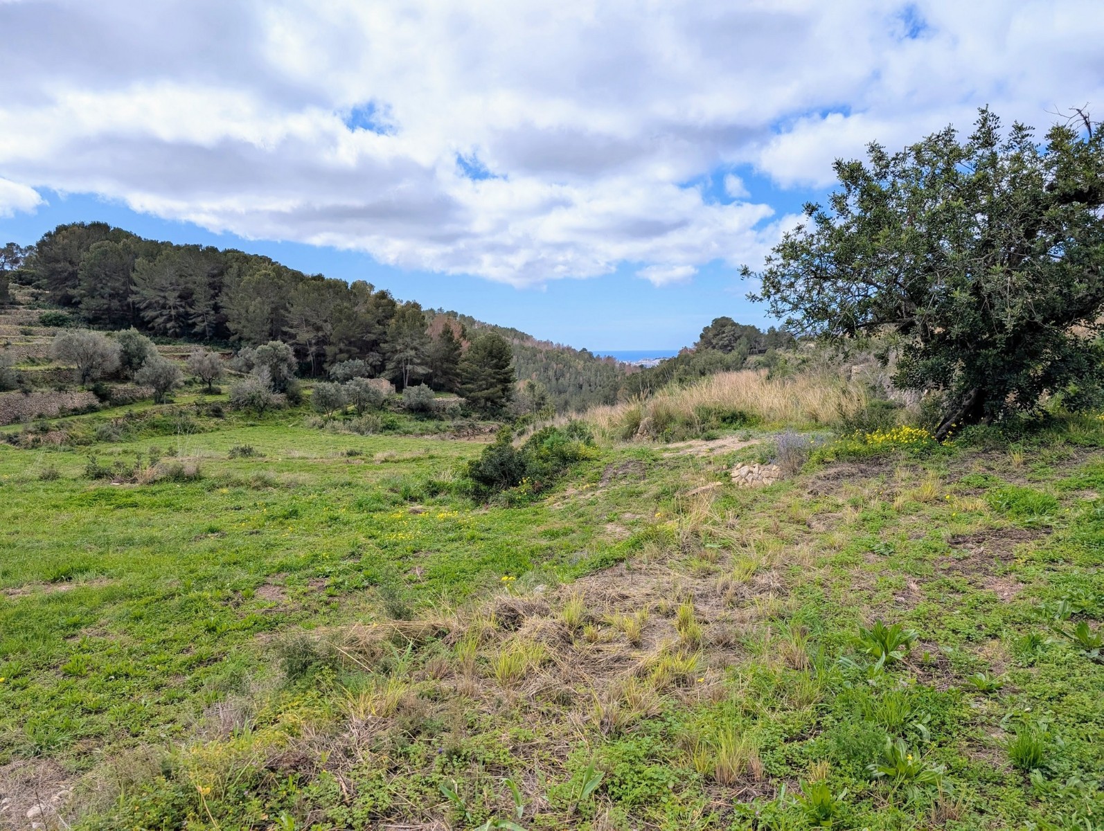 HouseFor Sale, Benissa, Alicante