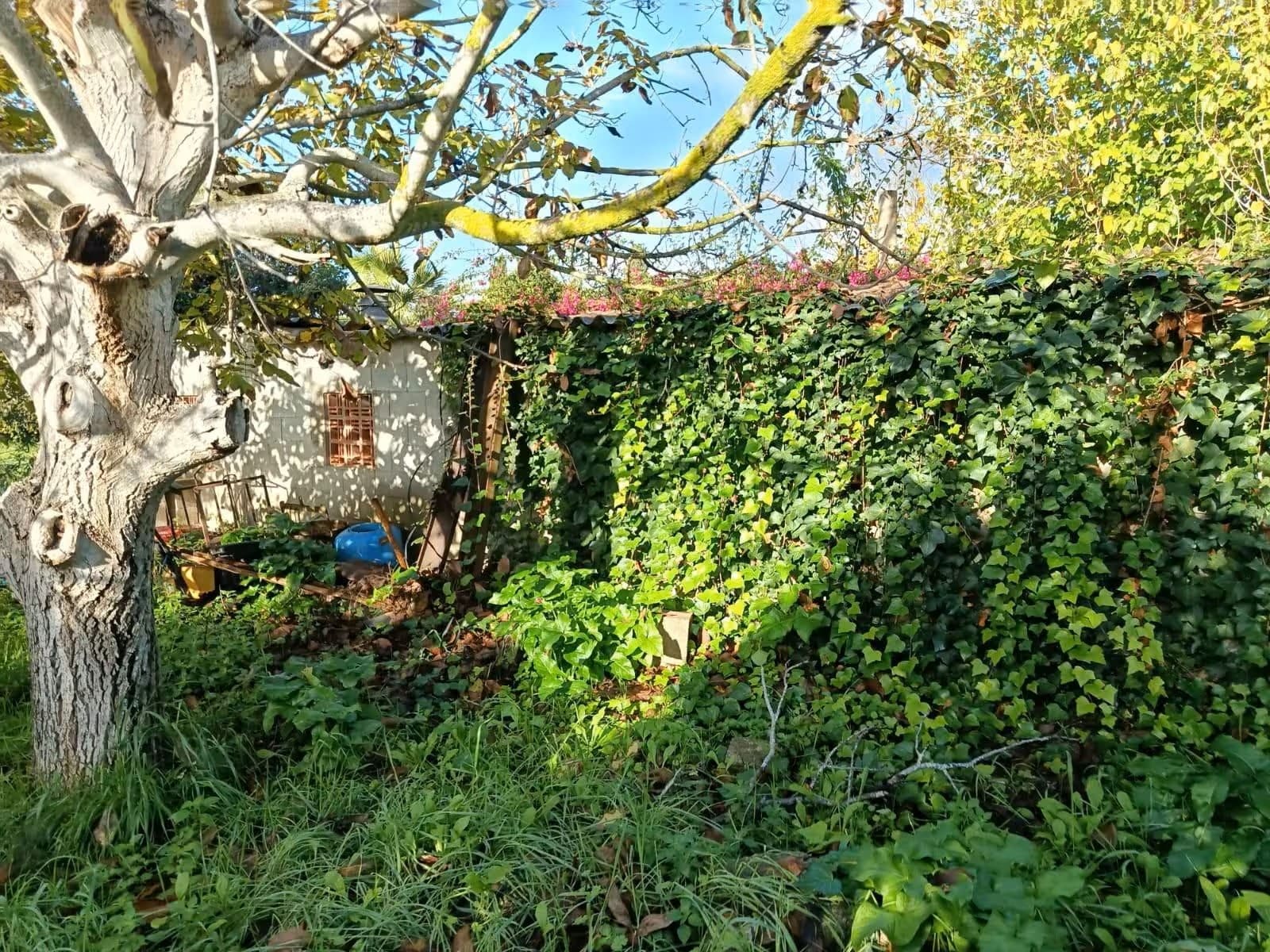 3 Bed, 3 Bath, HouseFor Sale, Binissalem, Baleares