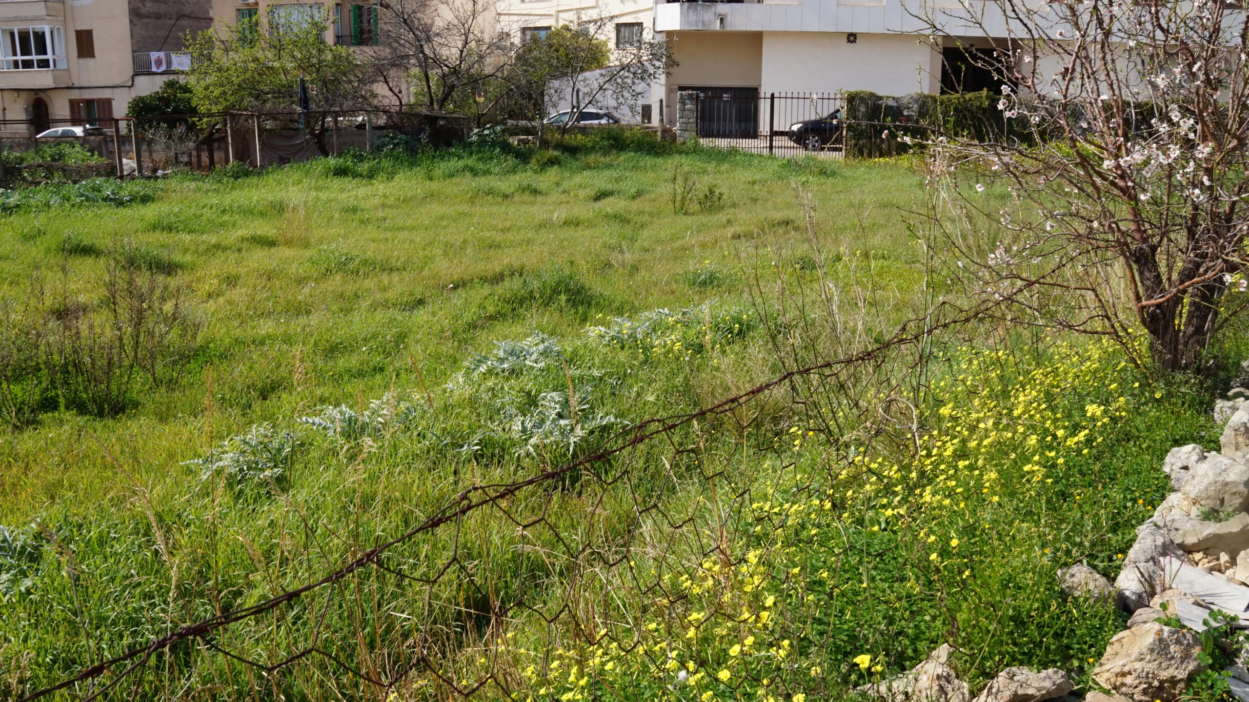 ApartmentFor Sale, Lloseta, Baleares