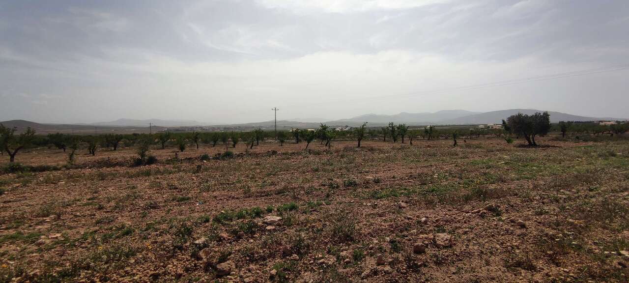 HouseFor Sale, Pinoso, Alicante