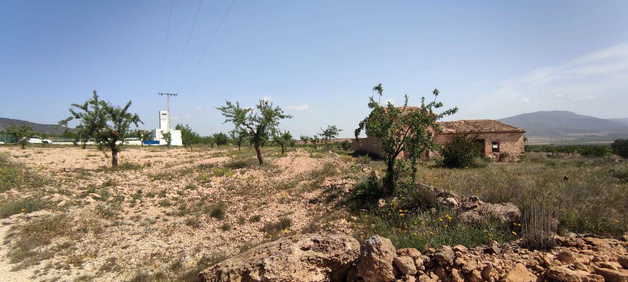 HouseFor Sale, Pinoso, Alicante