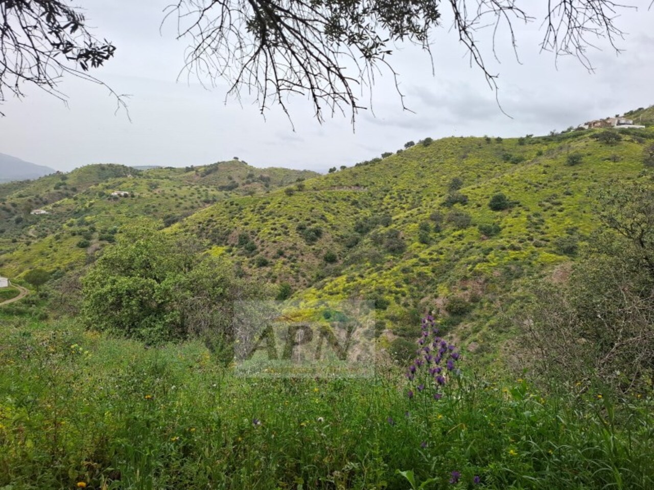 3 Bed, 1 Bath, HouseFor Sale, Álora, Malaga