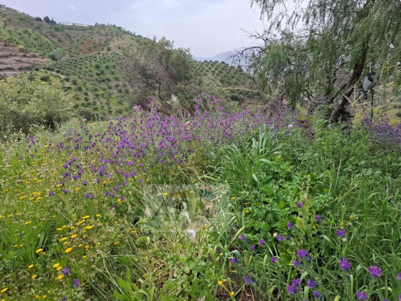 3 Bed, 1 Bath, HouseFor Sale, Álora, Malaga