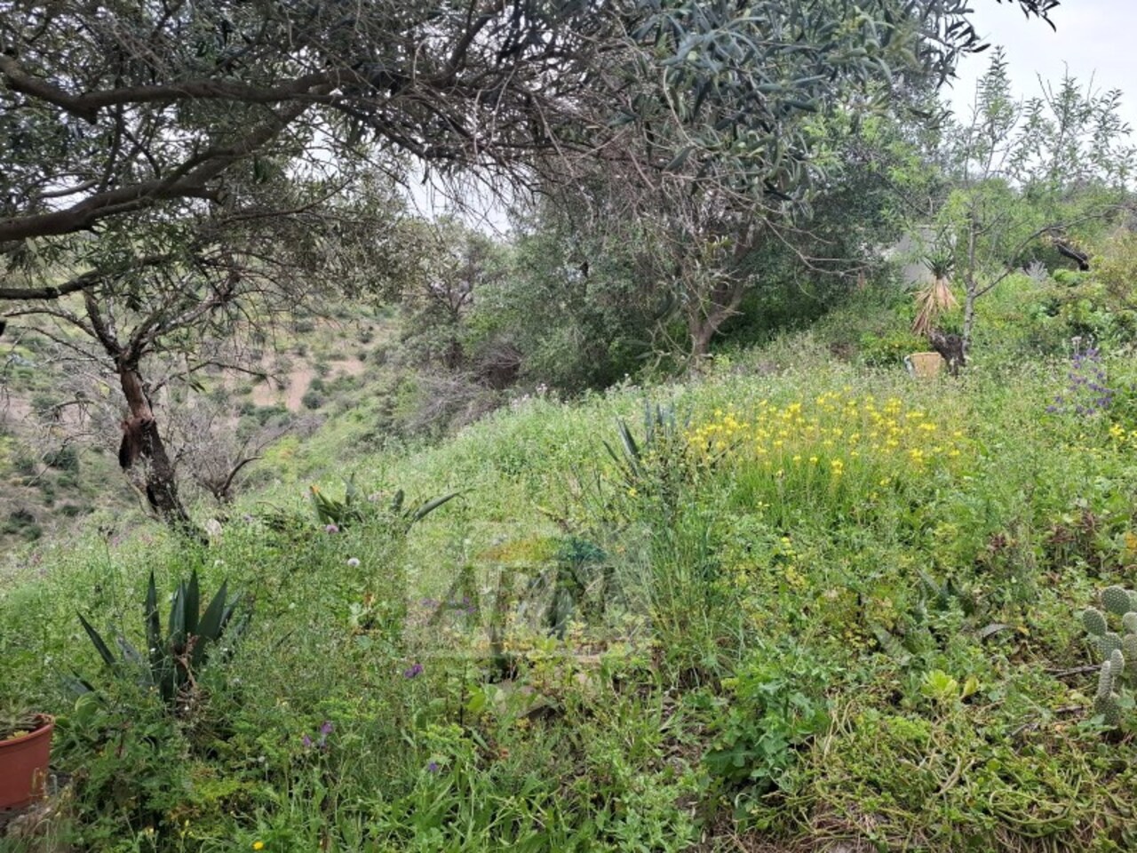 3 Bed, 1 Bath, HouseFor Sale, Álora, Malaga