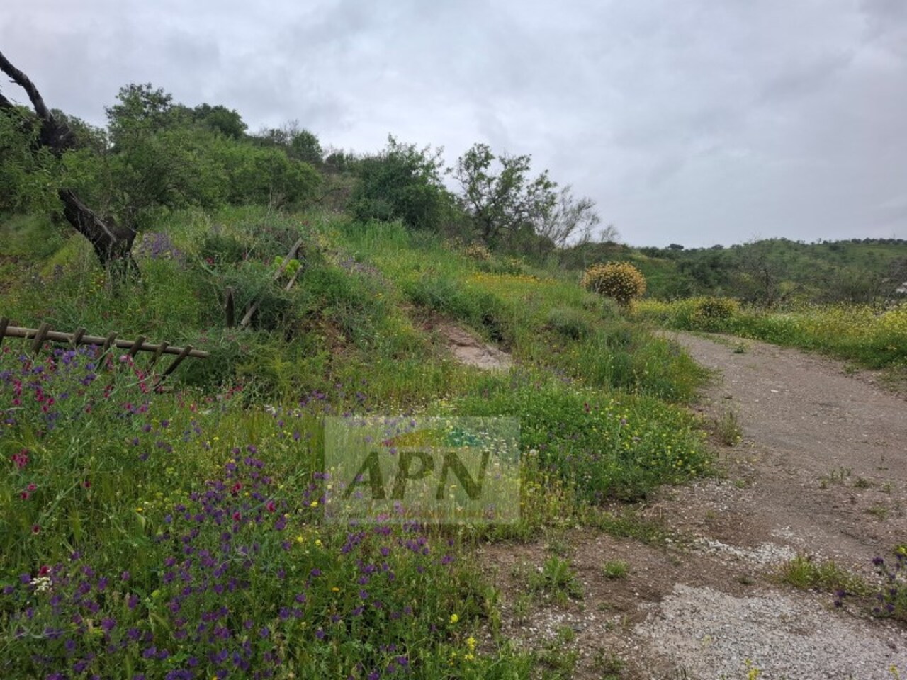 3 Bed, 1 Bath, HouseFor Sale, Álora, Malaga