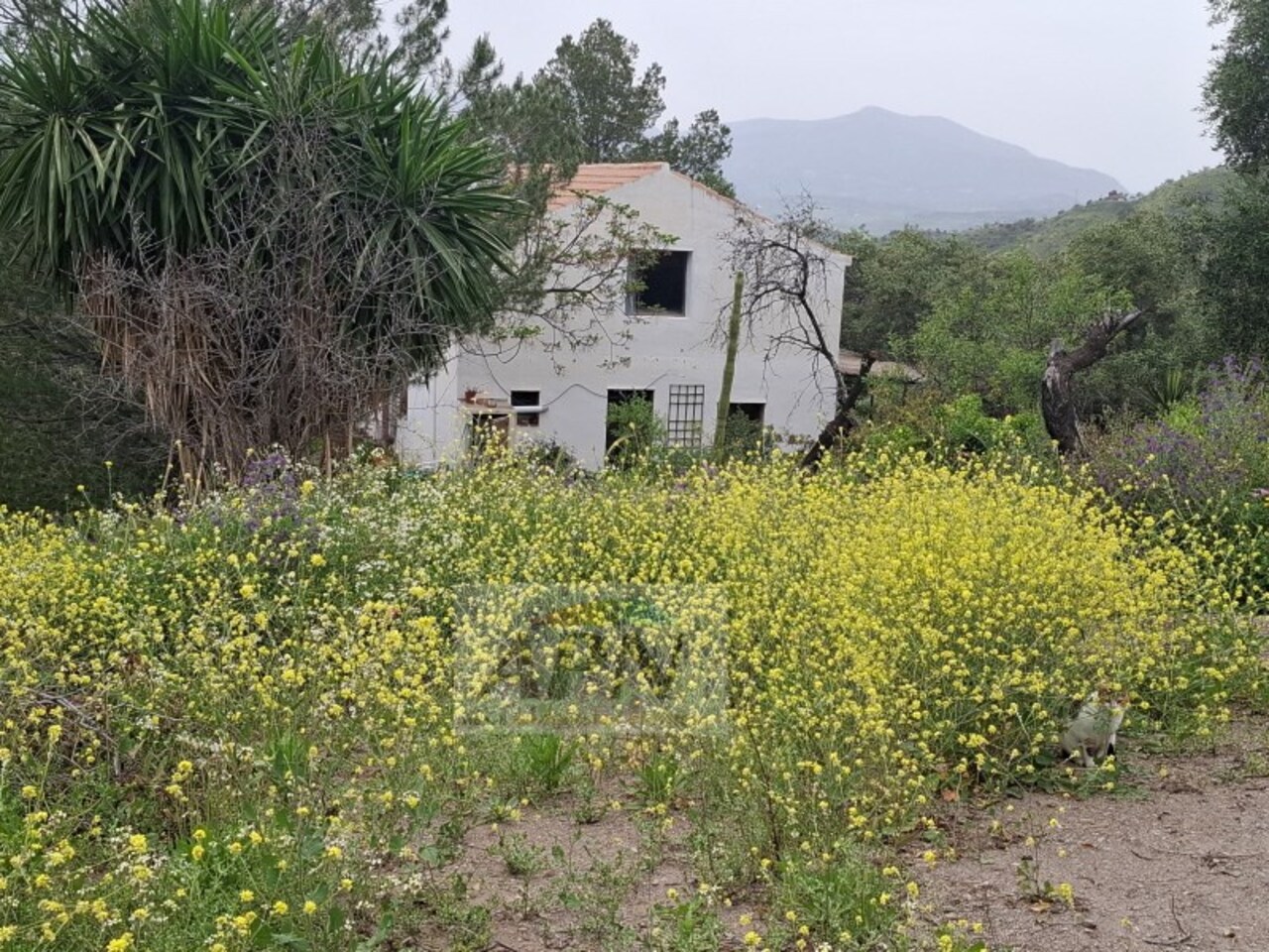 3 Bed, 1 Bath, HouseFor Sale, Álora, Malaga