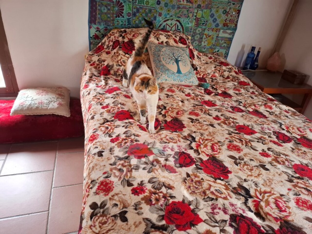 3 Bed, 1 Bath, HouseFor Sale, Álora, Malaga