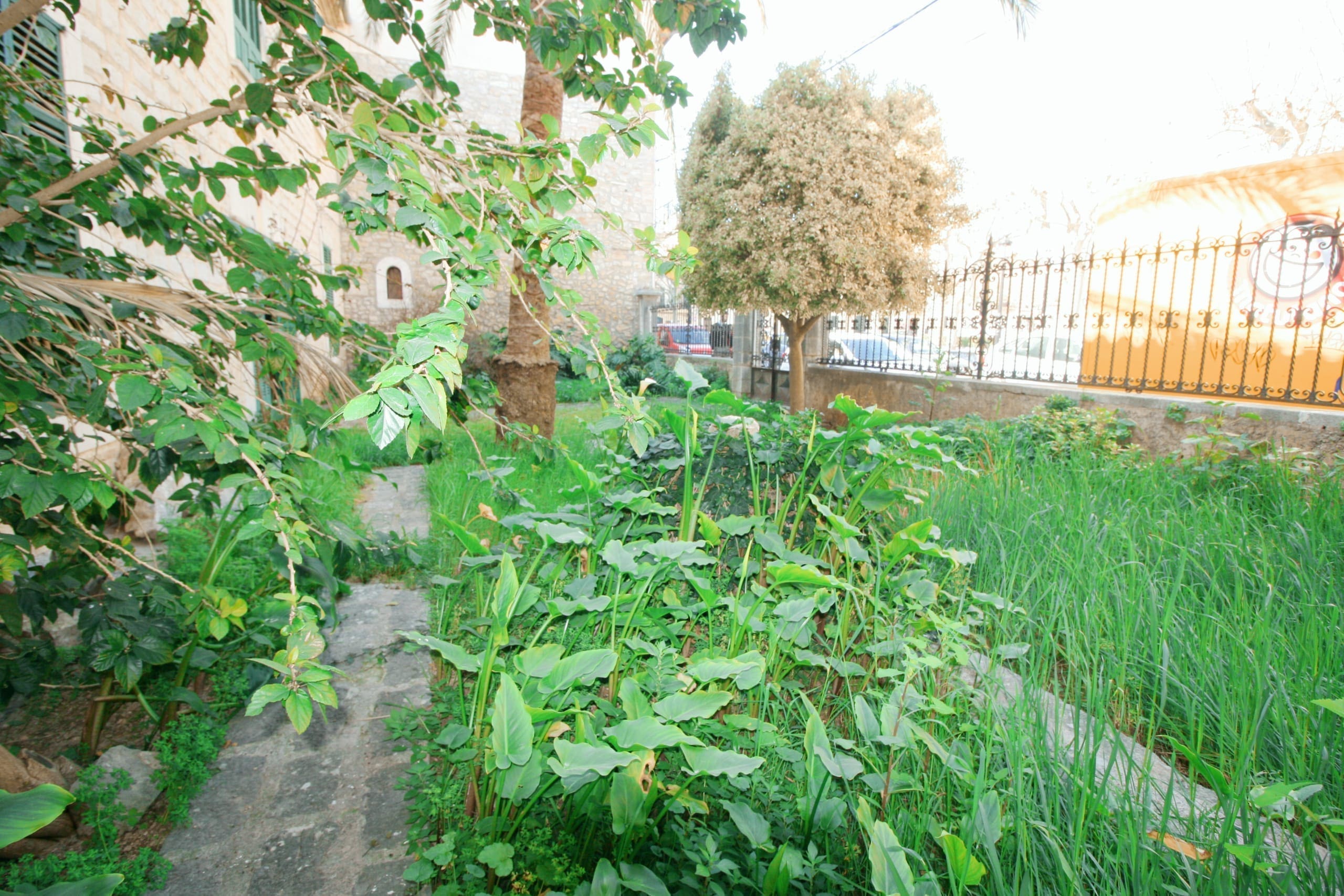 8 Bed, 1 Bath, HouseFor Sale, Binissalem, Baleares