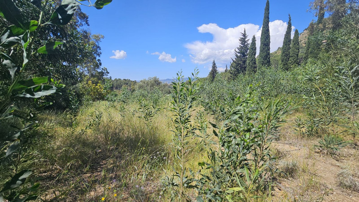 5 Bed, 3 Bath, HouseFor Sale, Mijas, Malaga