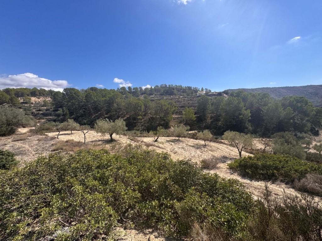 HouseFor Sale, Relleu, Alicante