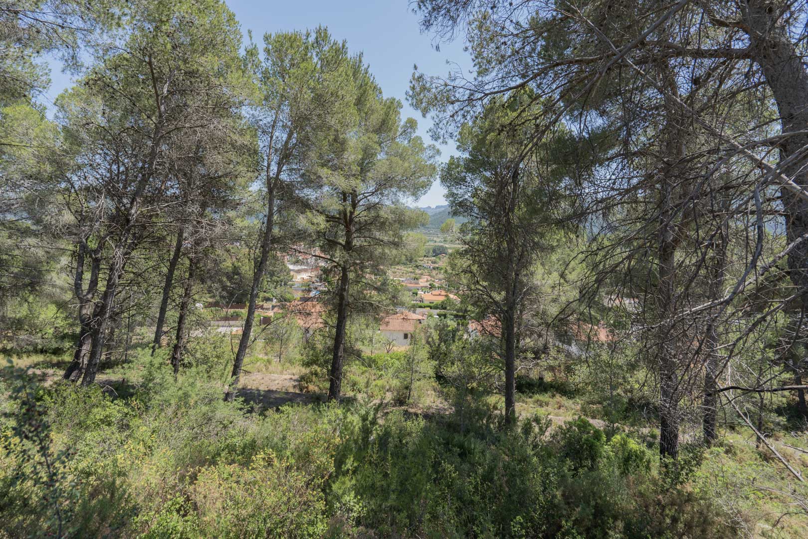 HouseFor Sale, Jalon Valley, Alicante