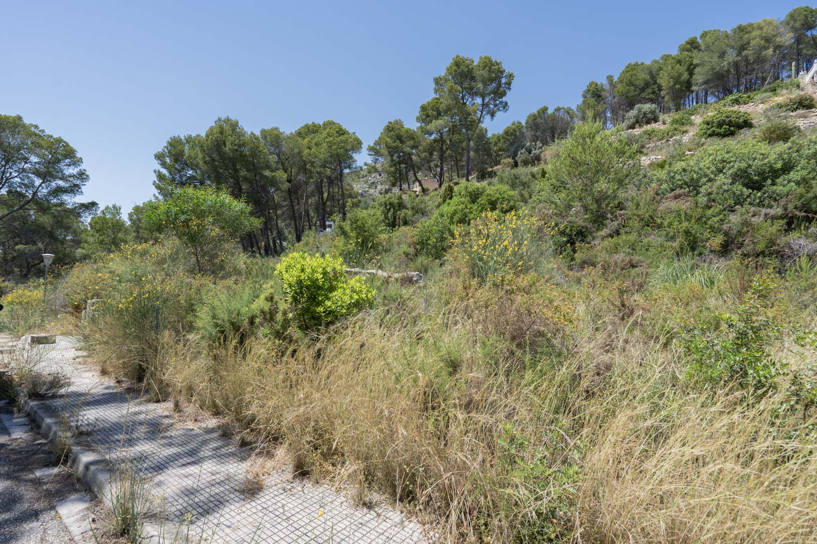 3 Bed, 2 Bath, HouseFor Sale, Jalon Valley, Alicante