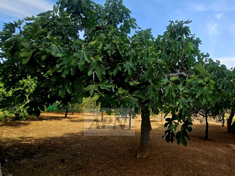 3 Bed, 2 Bath, HouseFor Sale, Álora, Malaga