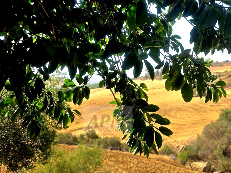 4 Bed, 1 Bath, HouseFor Sale, Álora, Malaga