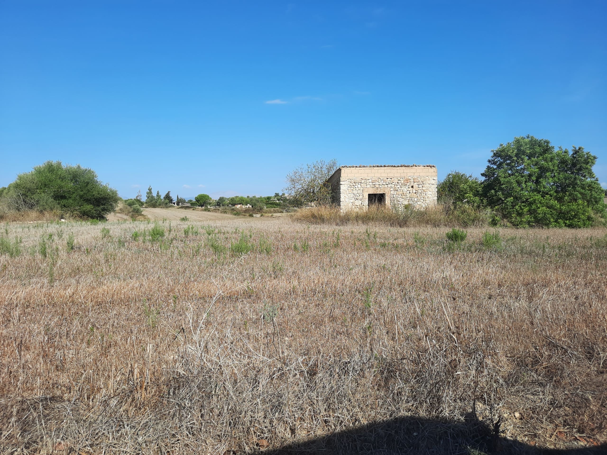 ApartmentFor Sale, Santa Margalida, Baleares