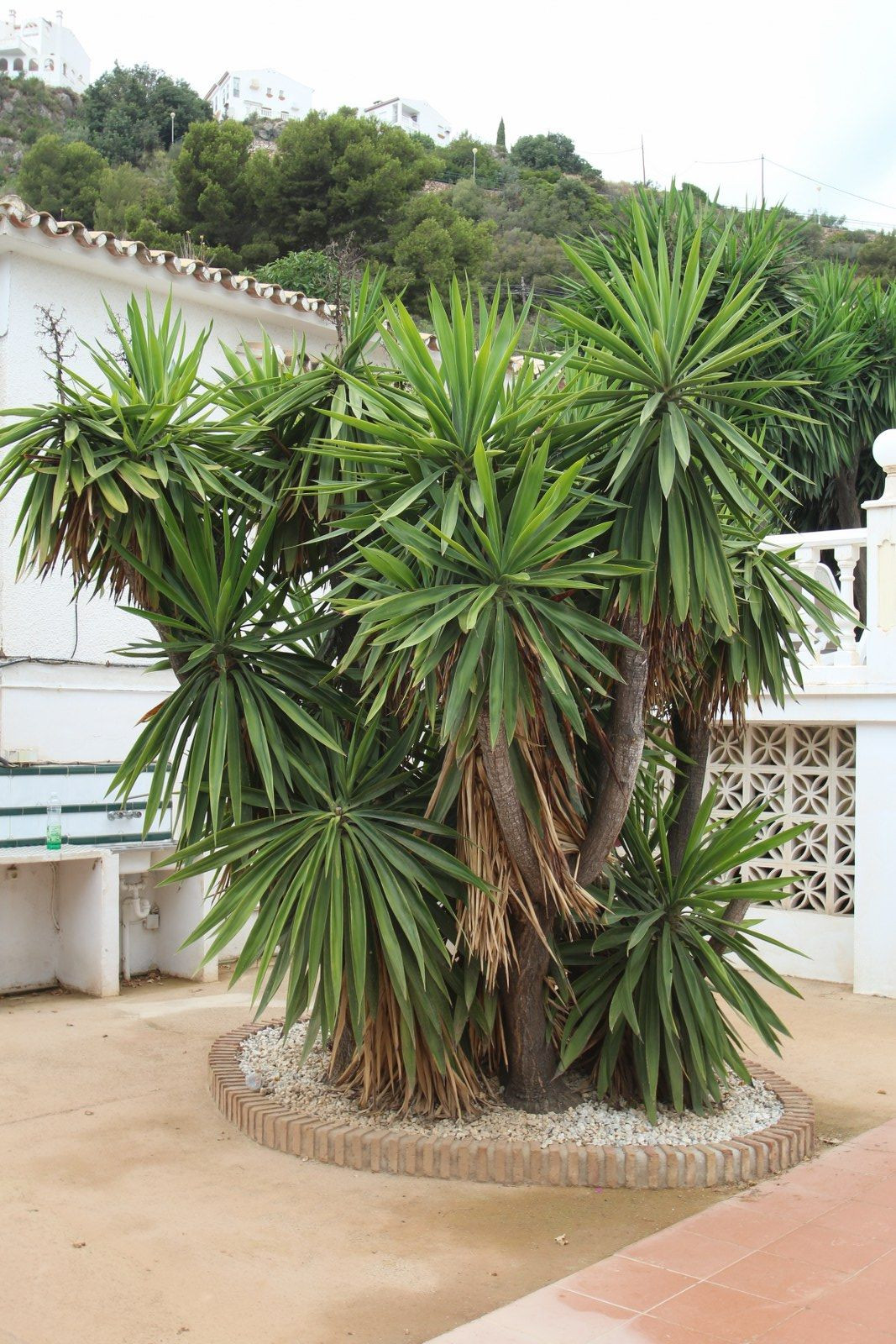 10 Bed, 10 Bath, HouseFor Sale, Benalmadena Pueblo, Malaga