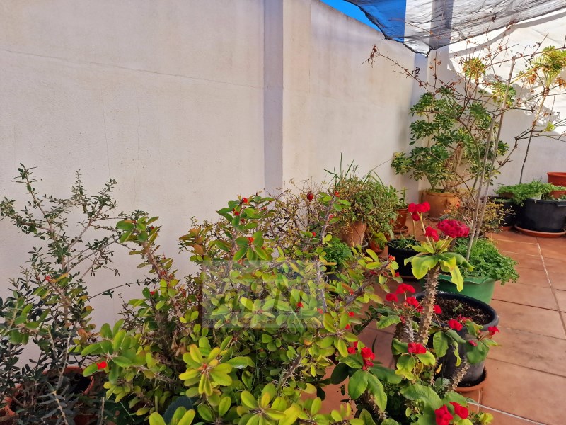 4 Bed, 1 Bath, HouseFor Sale, Álora, Malaga