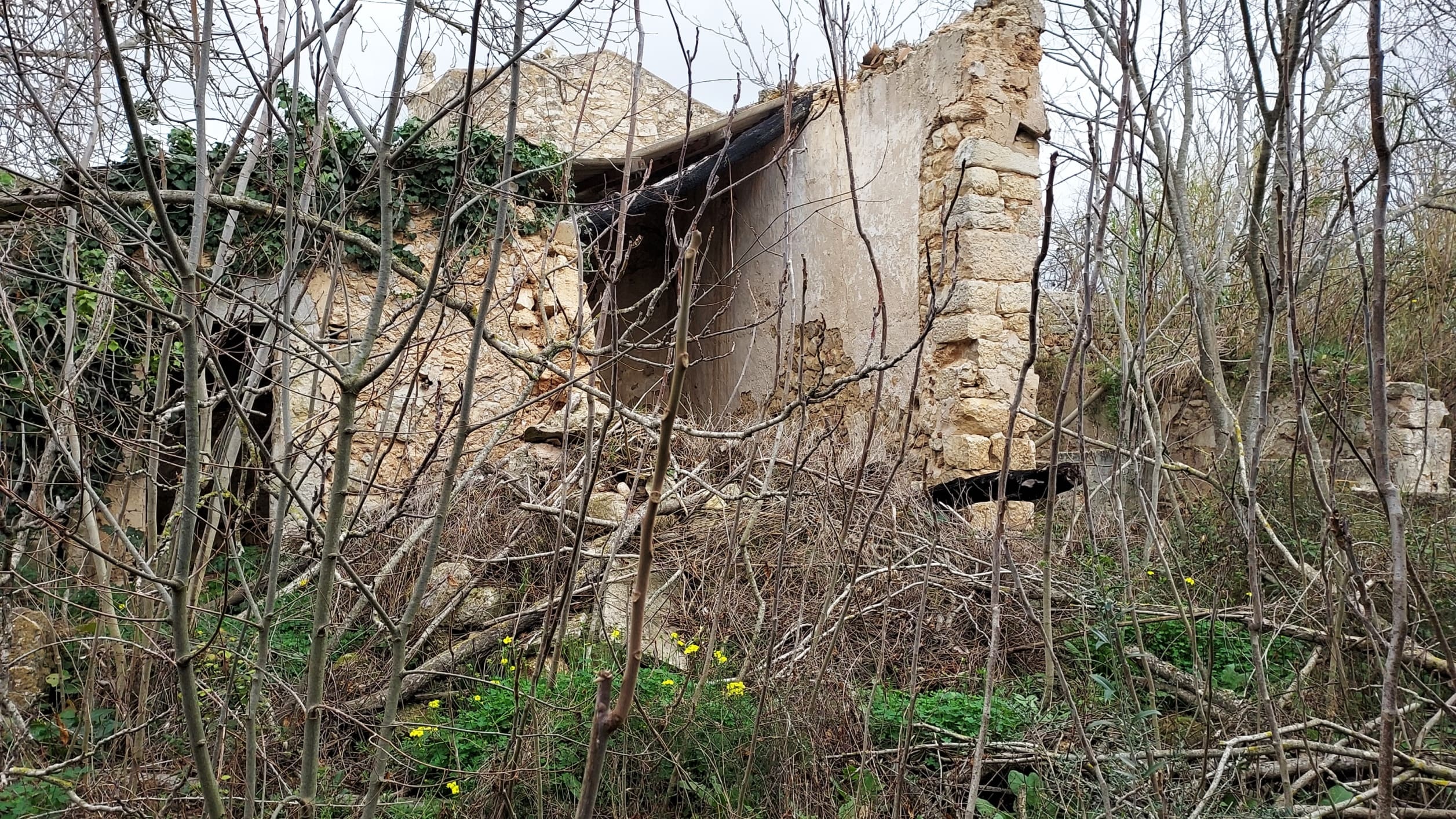 HouseFor Sale, Binissalem, Baleares