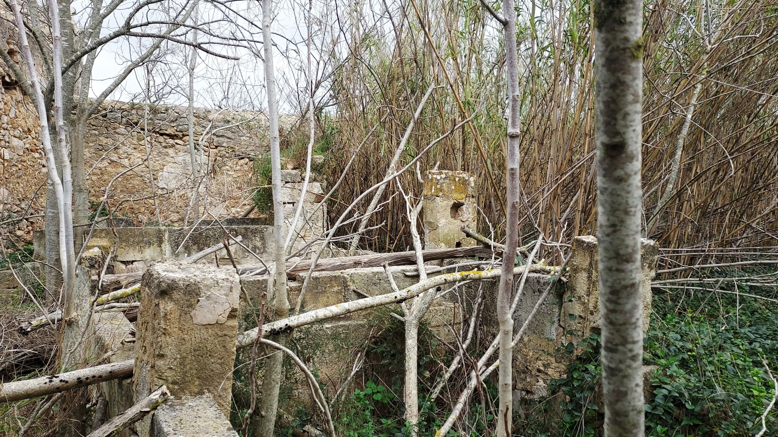 HouseFor Sale, Binissalem, Baleares