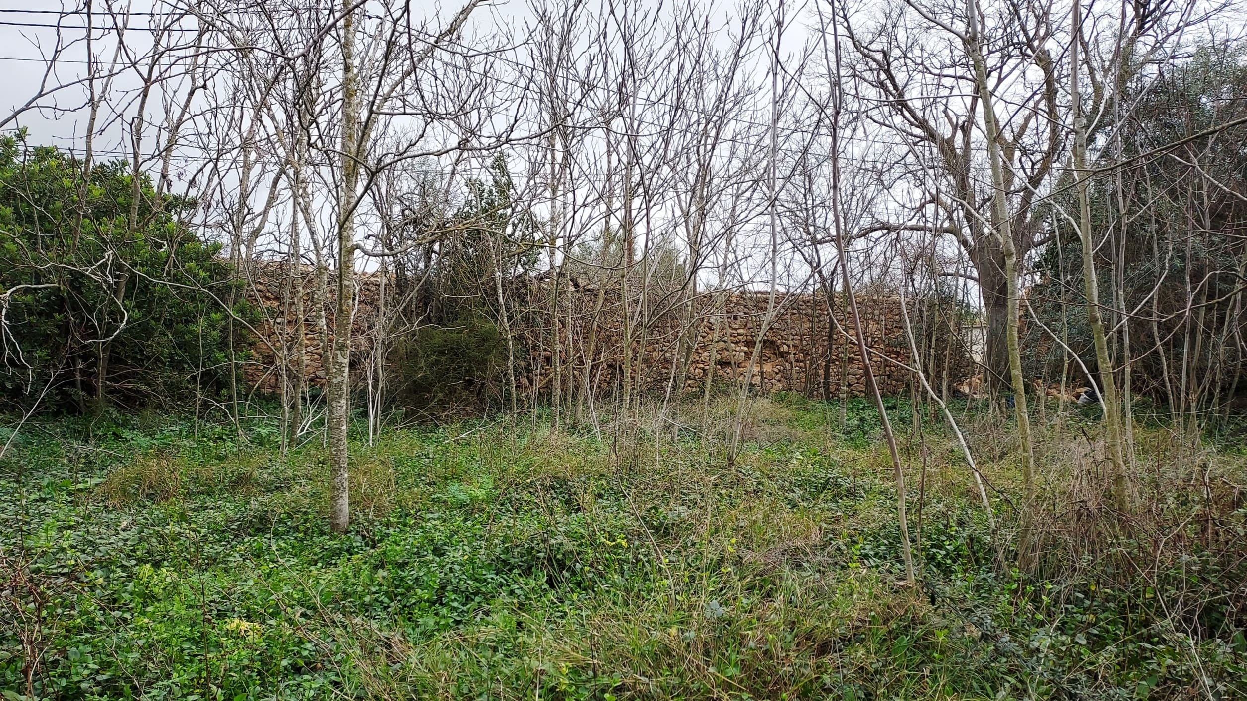 HouseFor Sale, Binissalem, Baleares