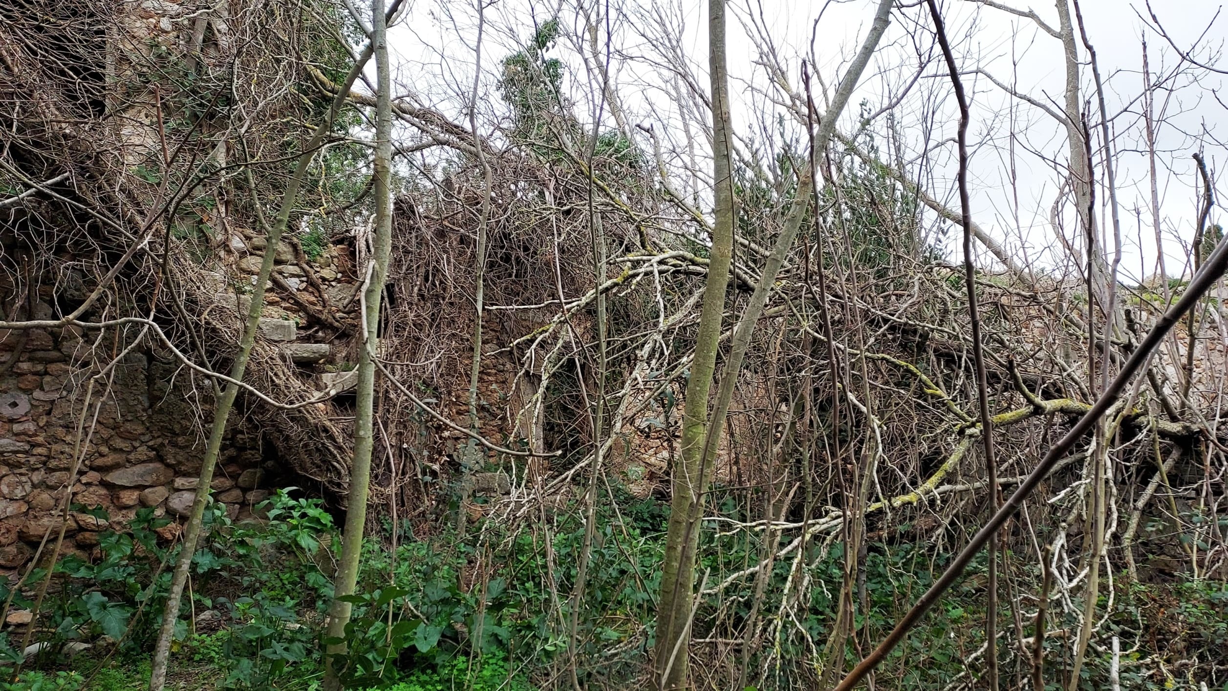 HouseFor Sale, Binissalem, Baleares