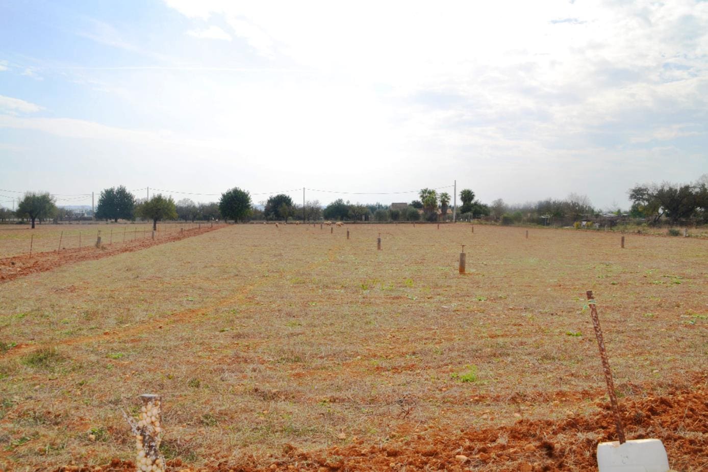 HouseFor Sale, Buger, Baleares