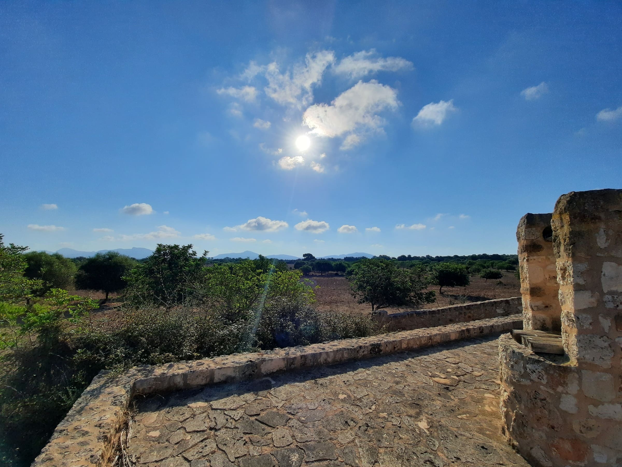 1 Bed, 1 Bath, ApartmentFor Sale, Maria De La Salut, Baleares