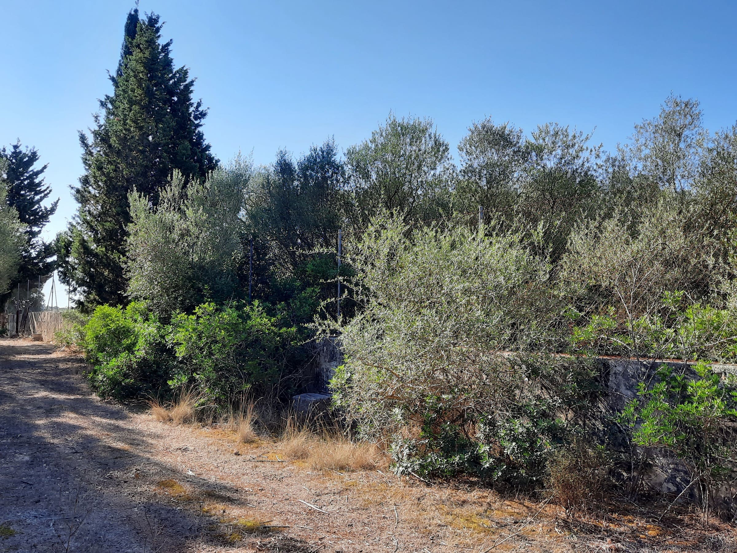 1 Bed, 1 Bath, ApartmentFor Sale, Maria De La Salut, Baleares