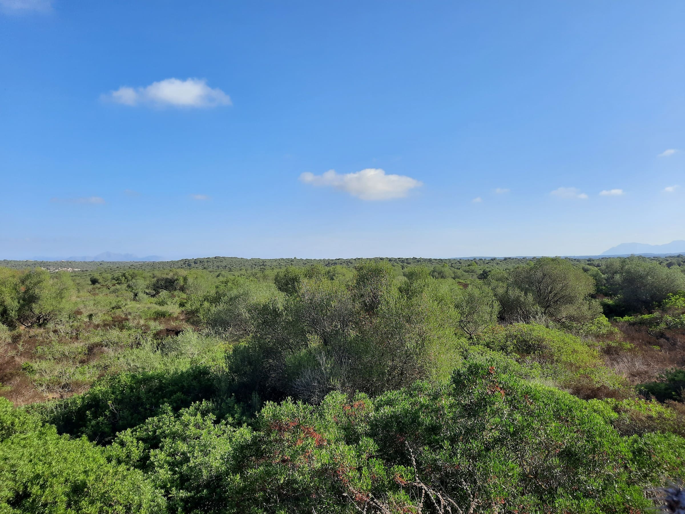 1 Bed, 1 Bath, ApartmentFor Sale, Maria De La Salut, Baleares