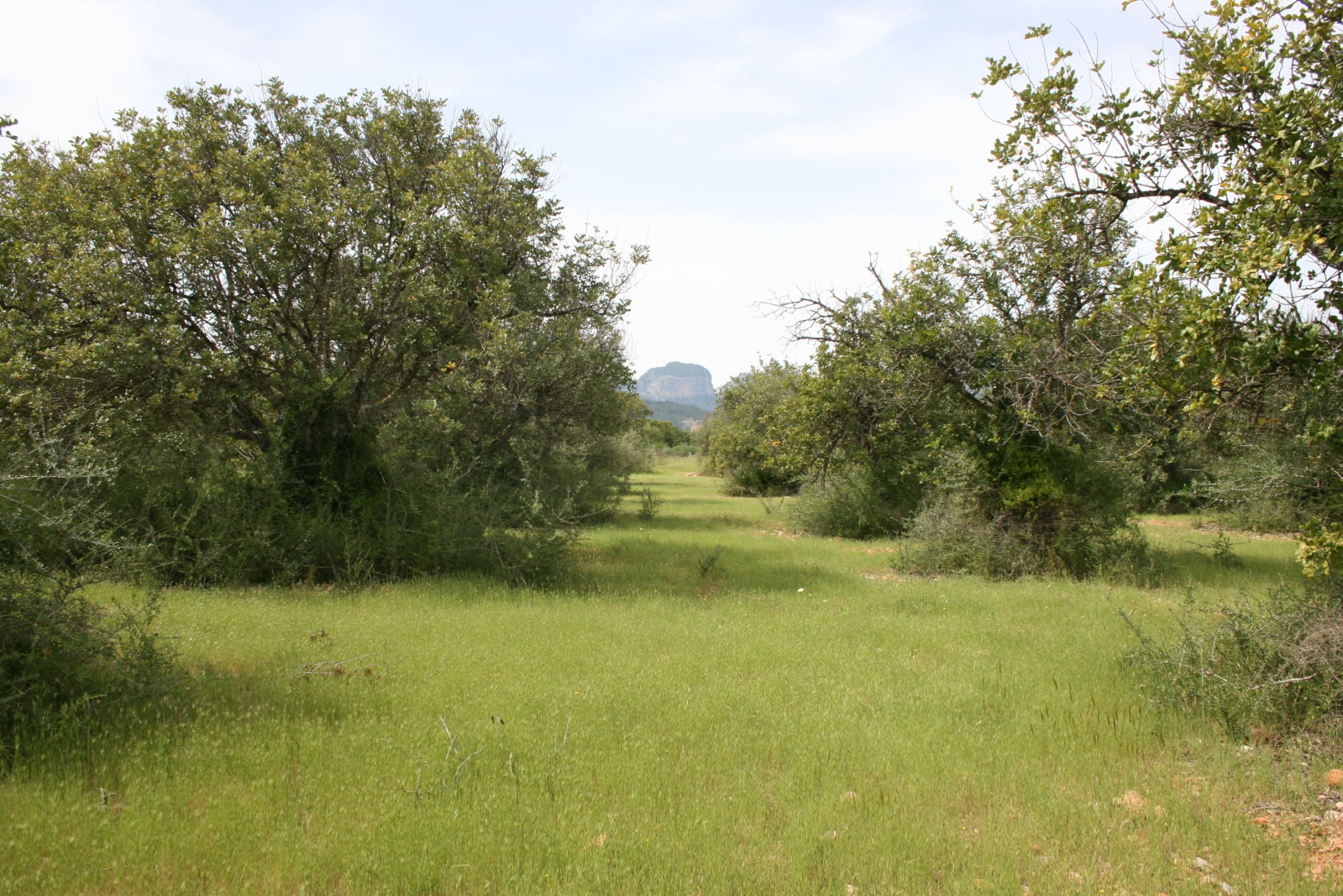 HouseFor Sale, Binissalem, Baleares