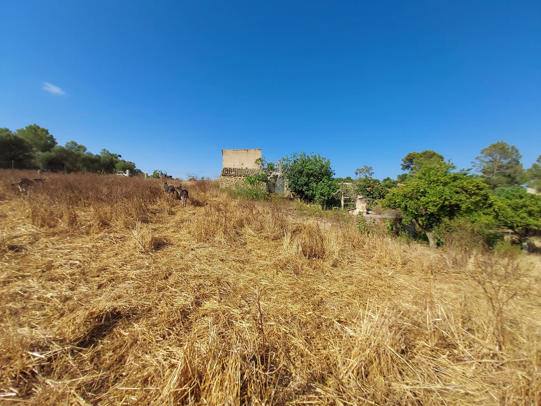 HouseFor Sale, Maria De La Salut, Baleares