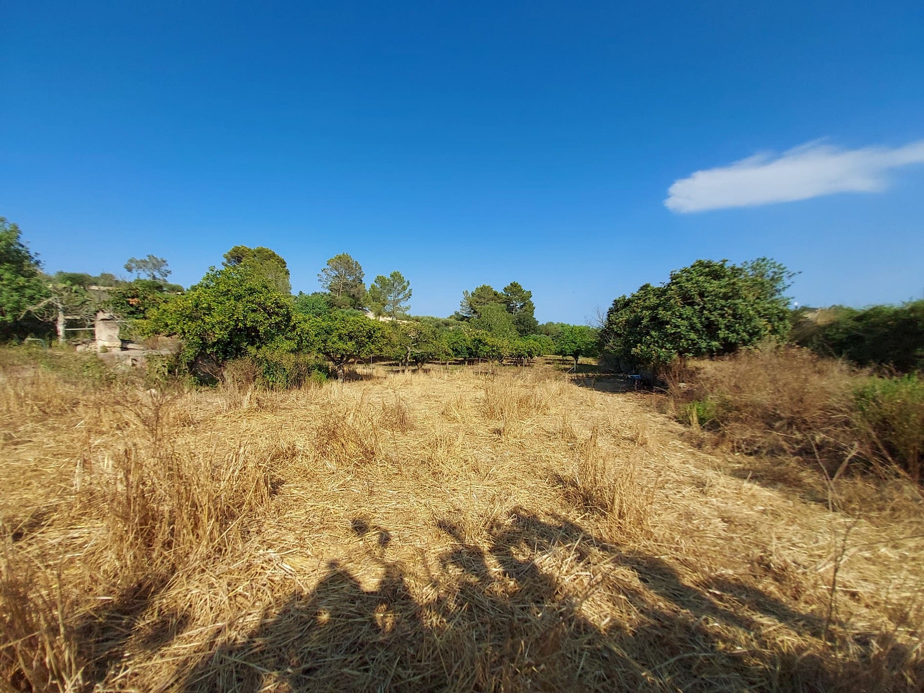 HouseFor Sale, Maria De La Salut, Baleares