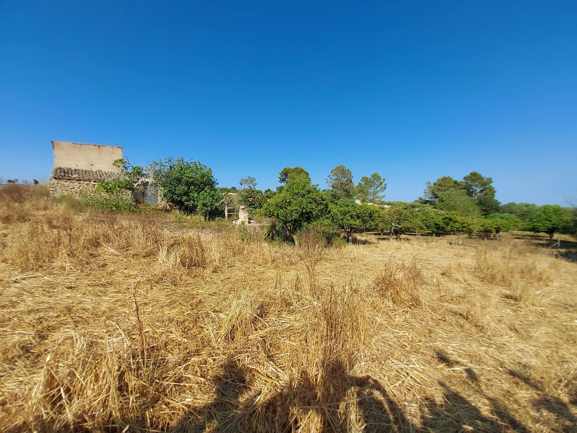 HouseFor Sale, Maria De La Salut, Baleares