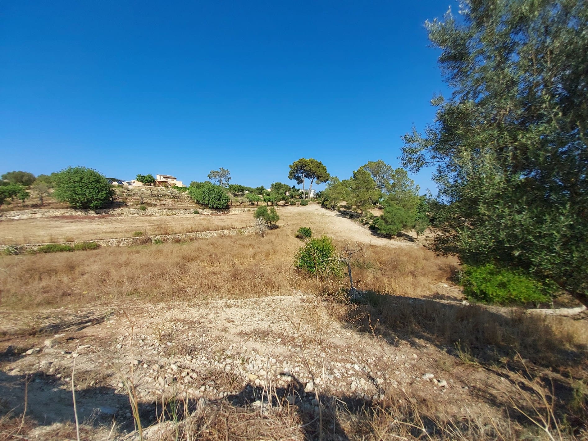 HouseFor Sale, Maria De La Salut, Baleares