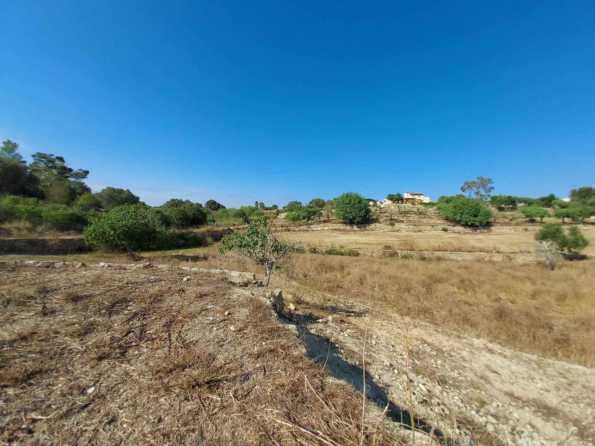 HouseFor Sale, Maria De La Salut, Baleares