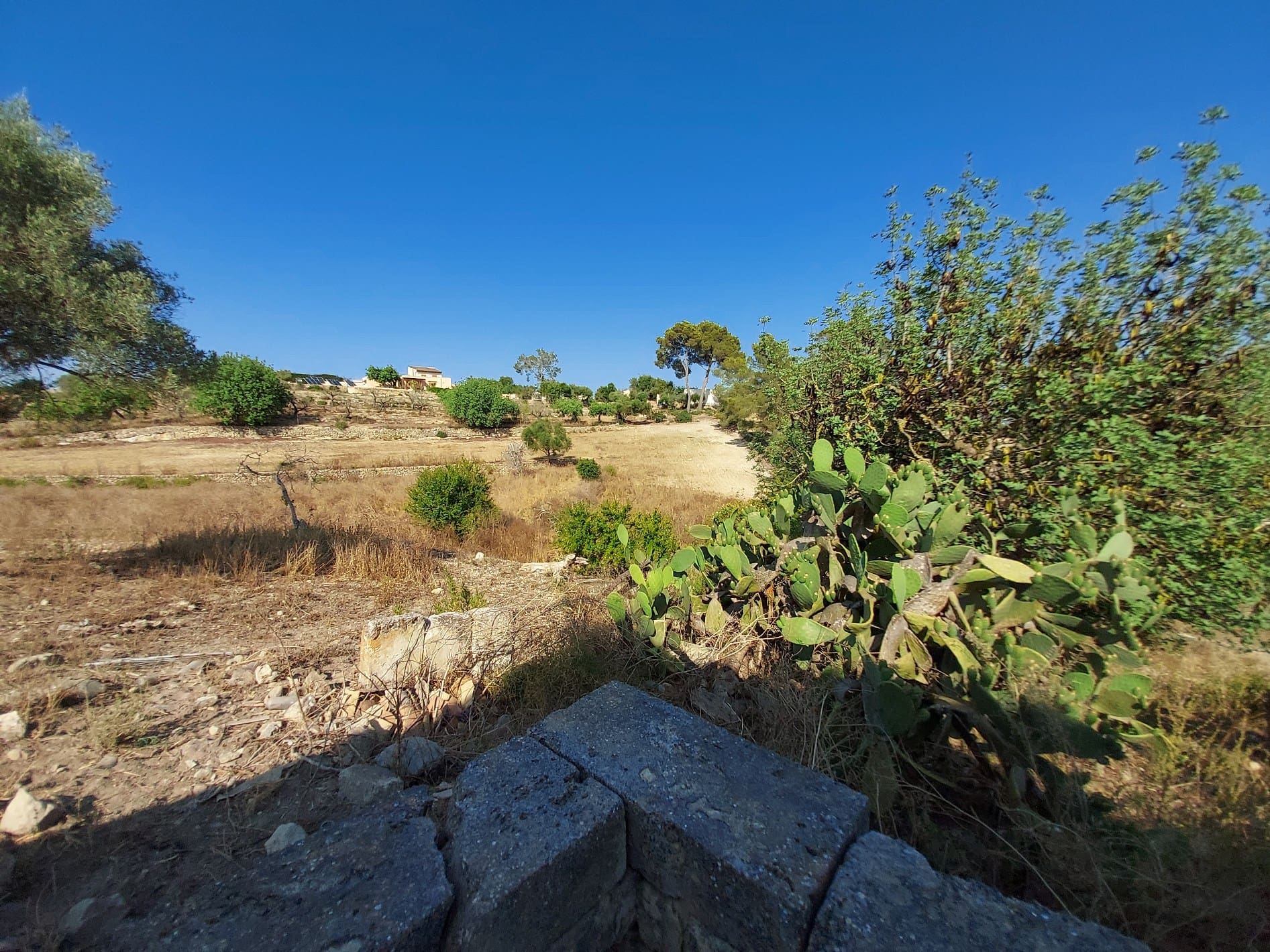 HouseFor Sale, Maria De La Salut, Baleares