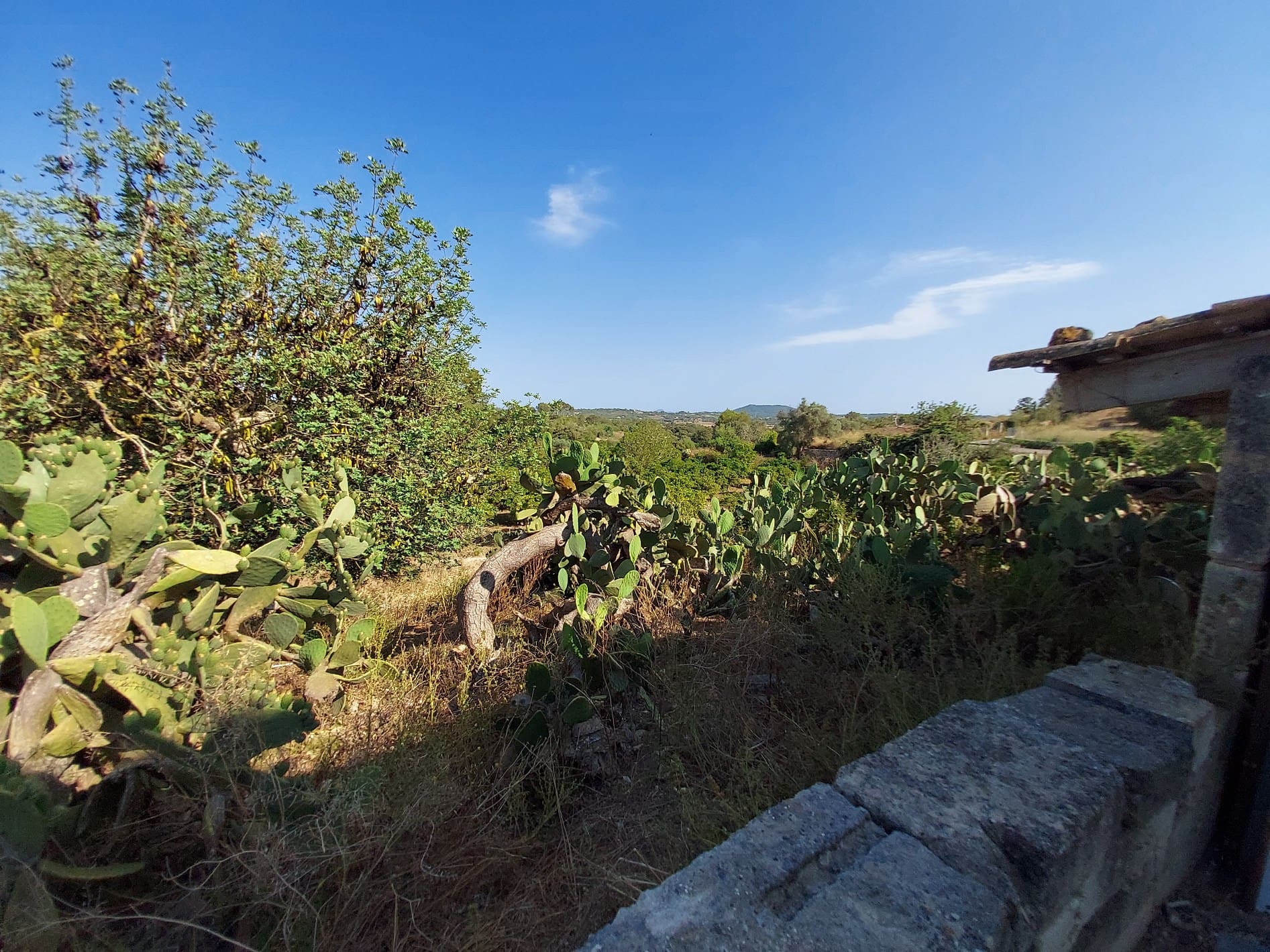 HouseFor Sale, Maria De La Salut, Baleares