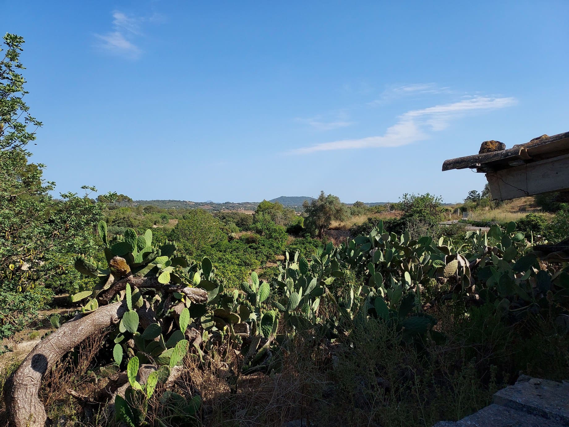 HouseFor Sale, Maria De La Salut, Baleares