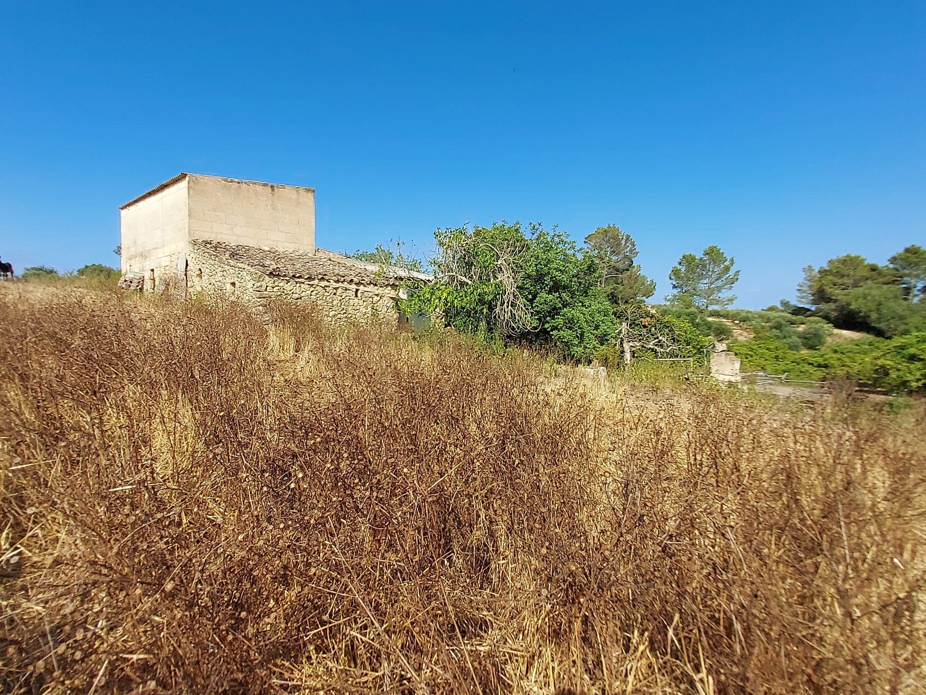 HouseFor Sale, Maria De La Salut, Baleares