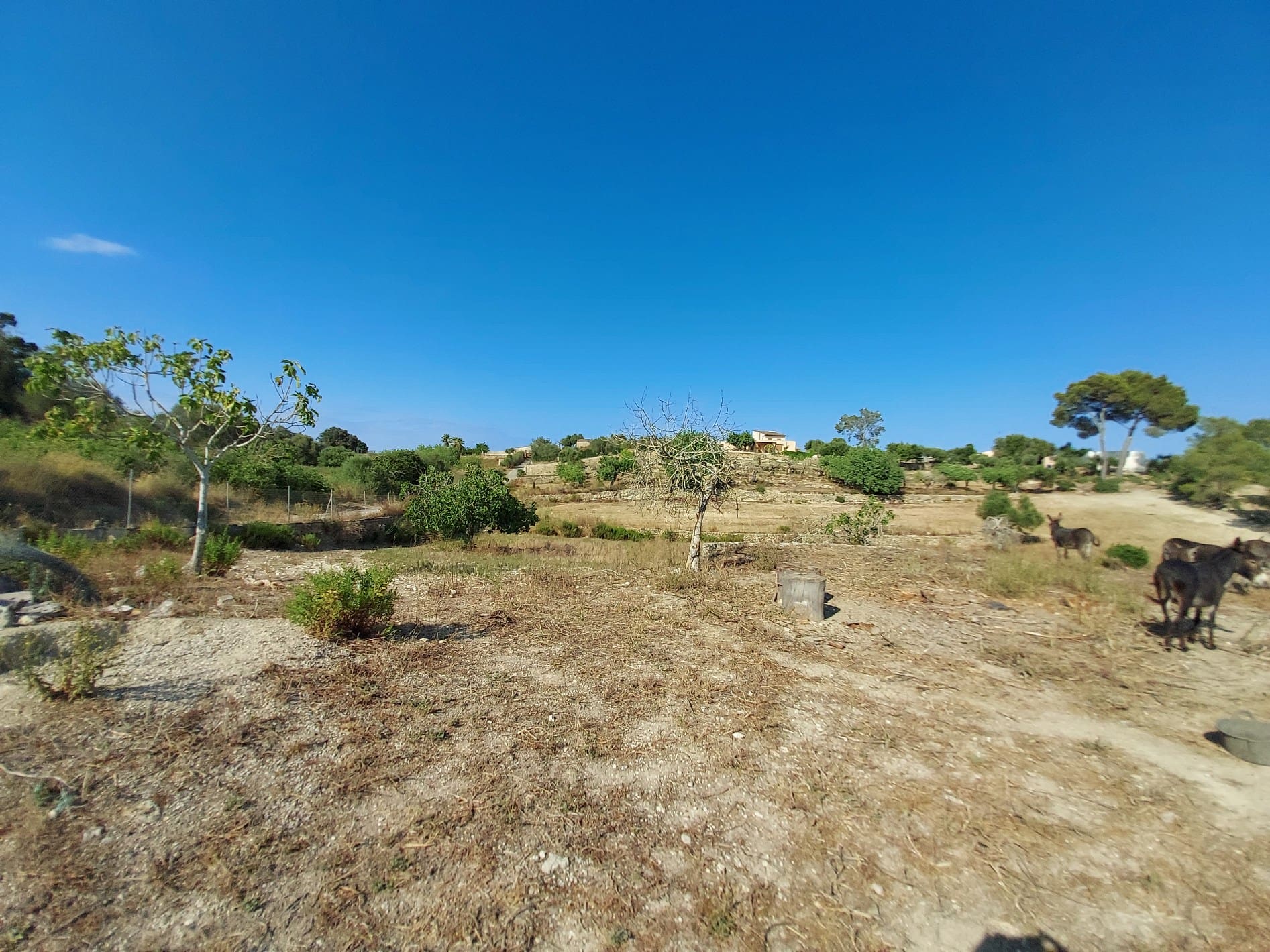 HouseFor Sale, Maria De La Salut, Baleares