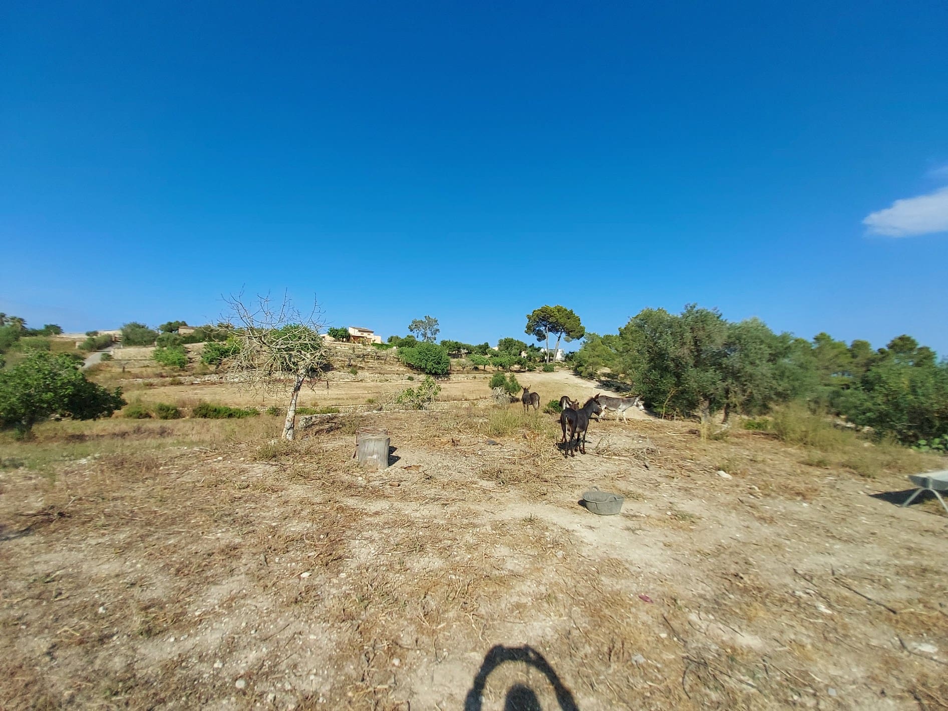 HouseFor Sale, Maria De La Salut, Baleares