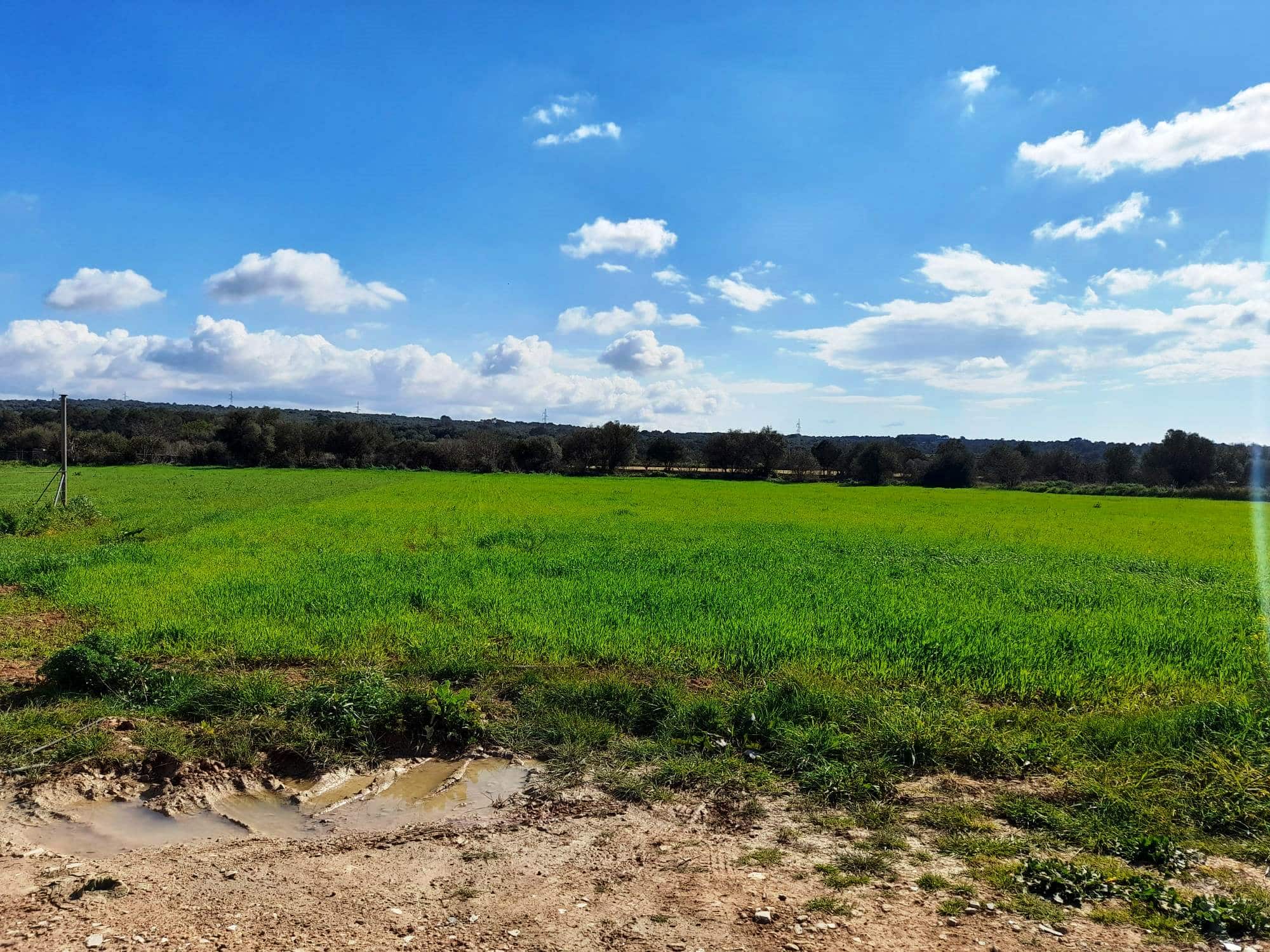 5 Bed, 2 Bath, HouseFor Sale, Costitx, Baleares