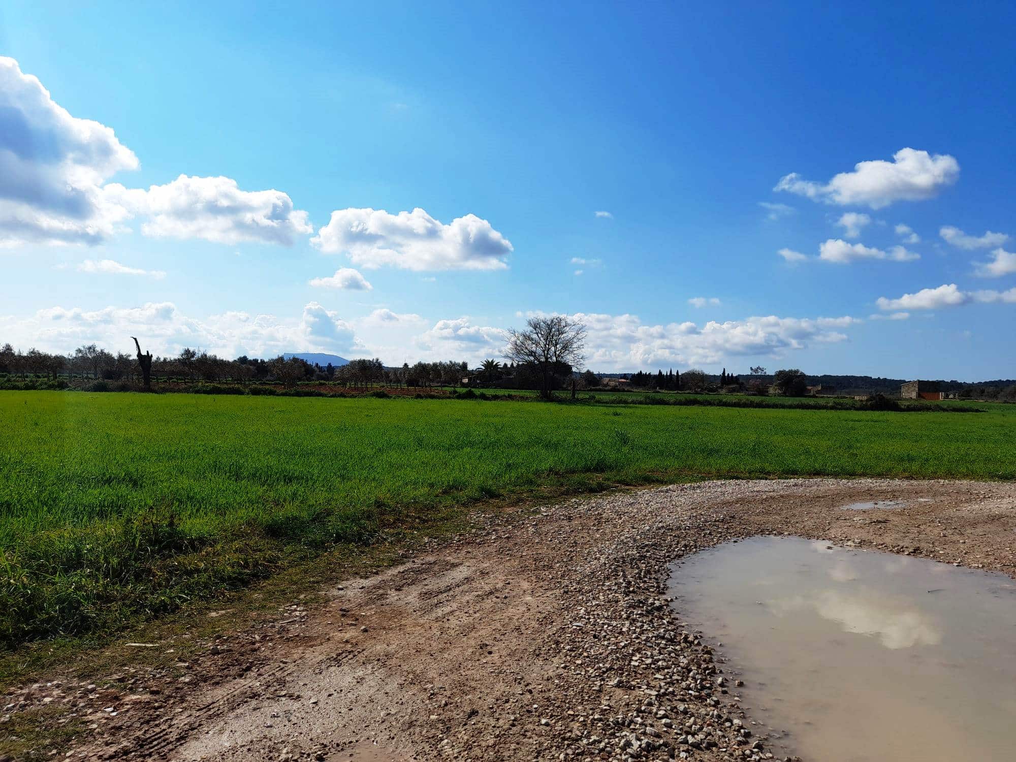 5 Bed, 2 Bath, HouseFor Sale, Costitx, Baleares