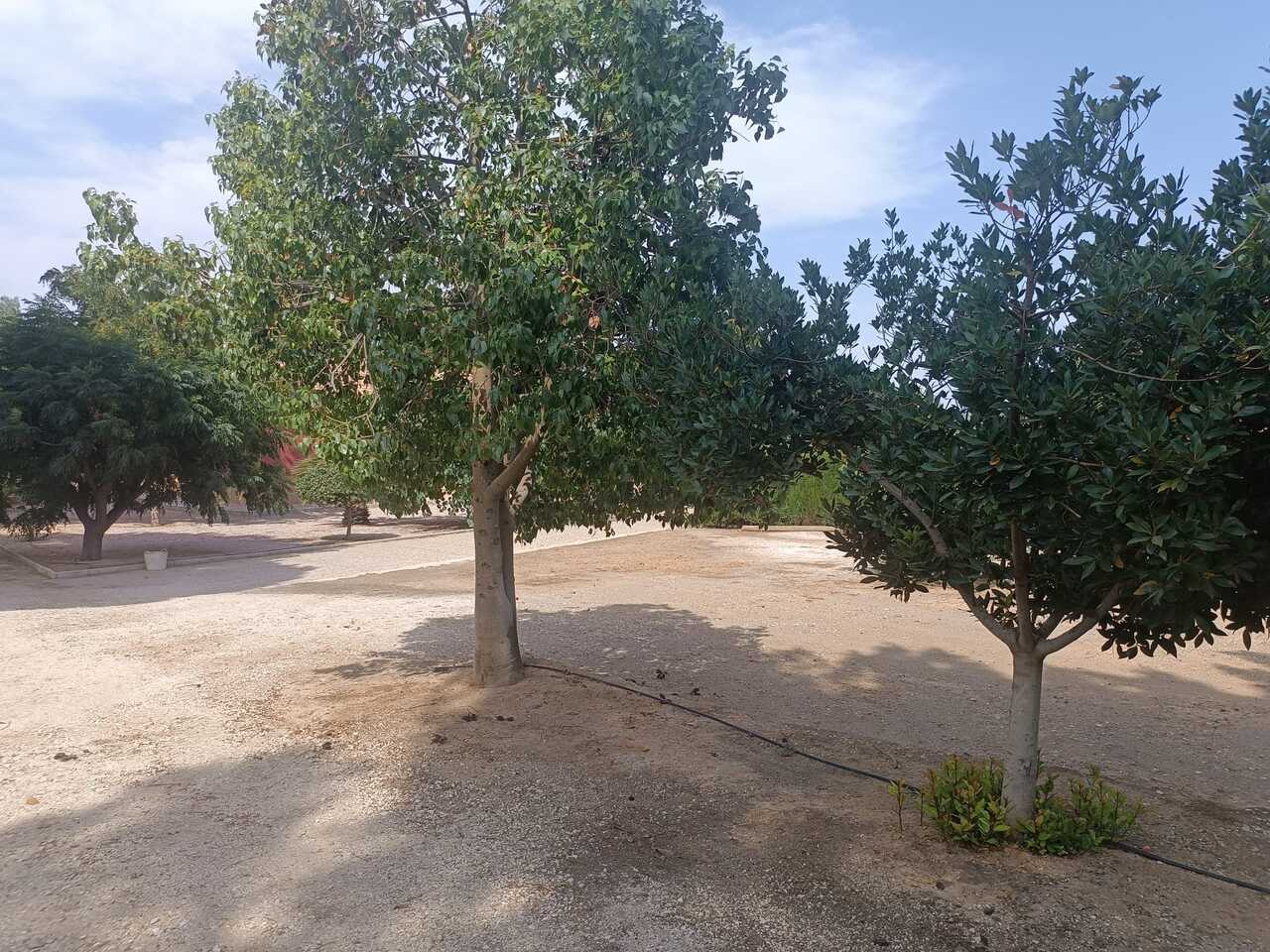 3 Bed, 2 Bath, HouseFor Sale, Cehegin, Murcia