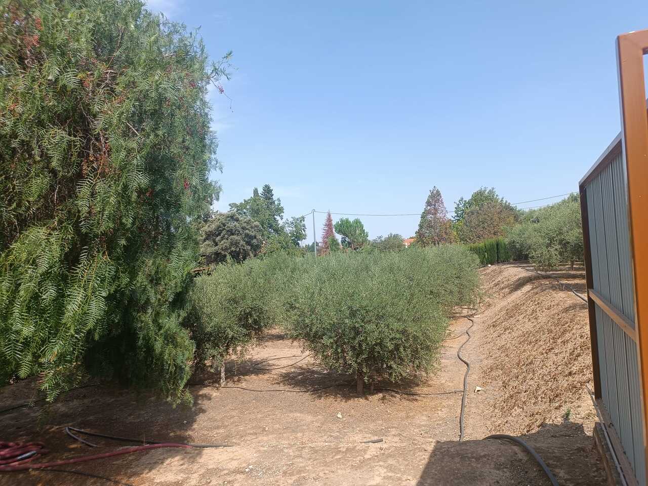 3 Bed, 2 Bath, HouseFor Sale, Cehegin, Murcia