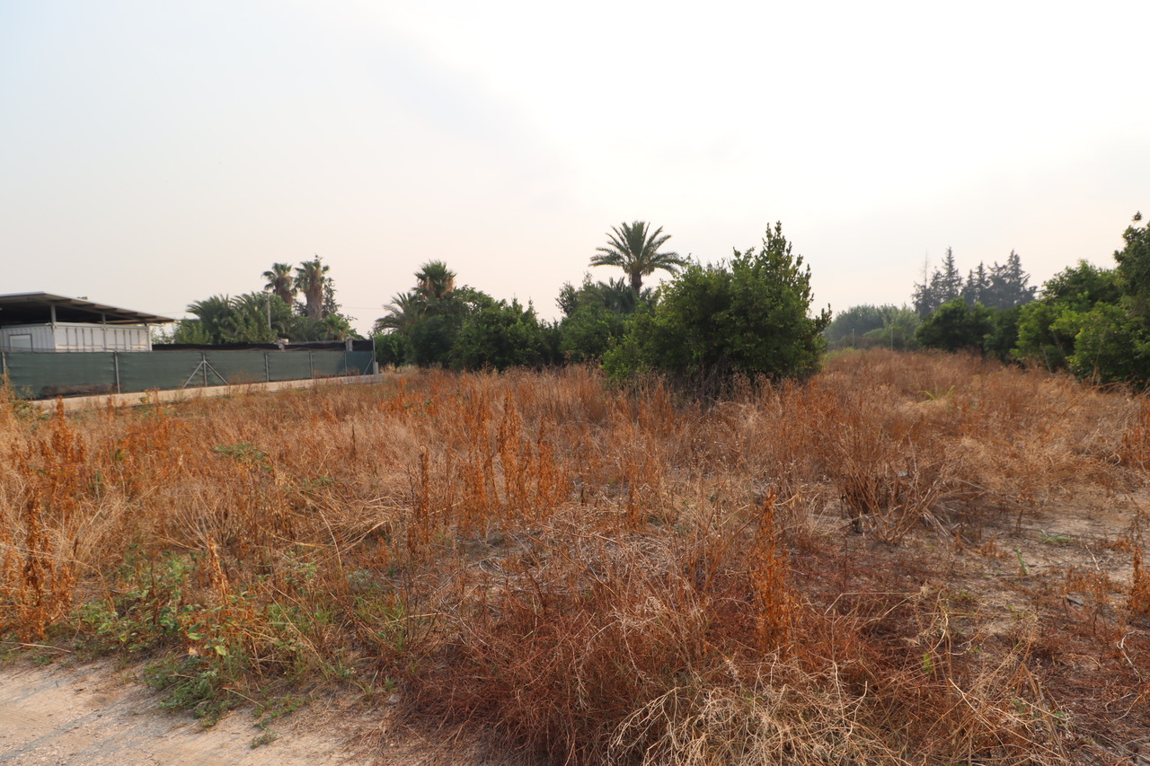 HouseFor Sale, Murcia, Murcia