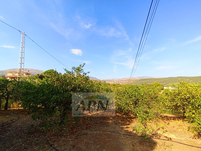 4 Bed, 2 Bath, HouseFor Sale, Álora, Malaga